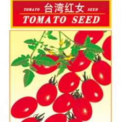 供应台湾红女-番茄种子
