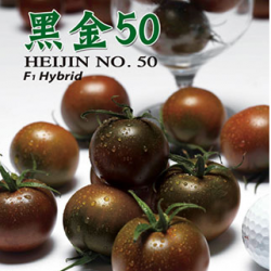 供应黑金50—番茄种子