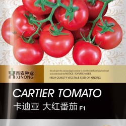 供应卡迪亚—番茄种子