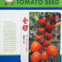 供应金锣杂交一代—番茄种子