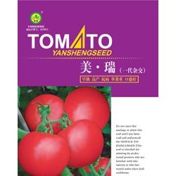 供应美瑞（一代杂交）-番茄种子