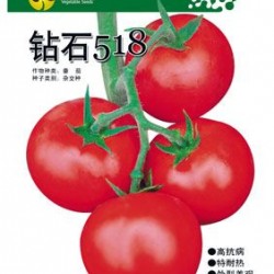供应钻石518番茄—番茄种子