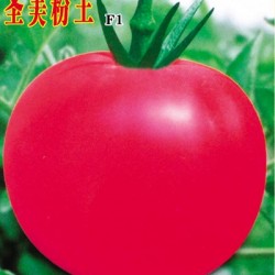 供应圣美粉王—番茄种子