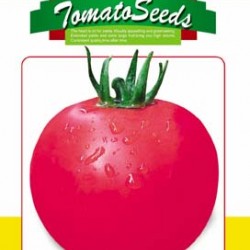 供应陆地专用抗裂耐热专用—番茄种子