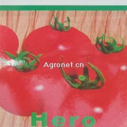 供应英雄—番茄种子