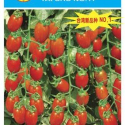 供应台蔬11号——番茄品种