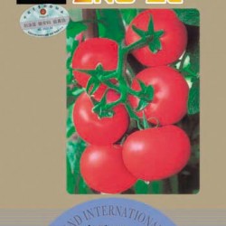 供应中研958—番茄种子