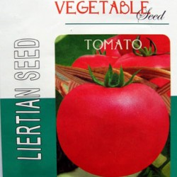 供应福星601番茄－番茄种子