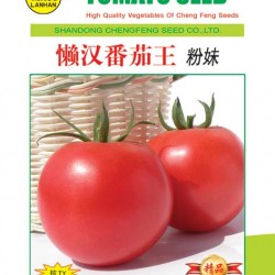 供应粉妹（抗TY1201）—番茄种子