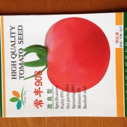 供应常丰908番茄种子