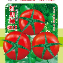 供应红斯顿6013--番茄种子