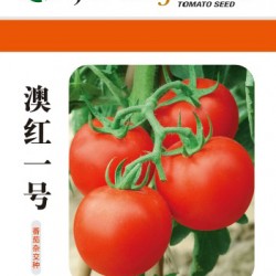 供应澳红一号—番茄种子
