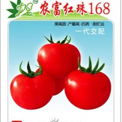供应农富红珠168—番茄种子