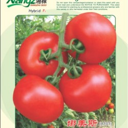 供应娜美斯—番茄种子