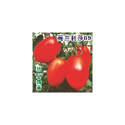 供应利莎69—番茄种子