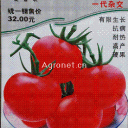 供应夏皇301番茄——番茄类种子