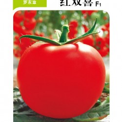 供应红双喜番茄种子