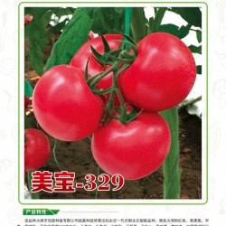 供应美宝-329—番茄种子