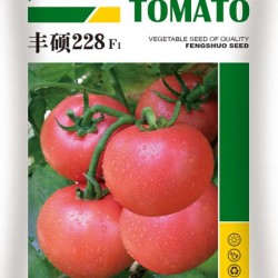 供应丰硕228F1—番茄种子