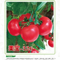 供应美宝-326—番茄种子