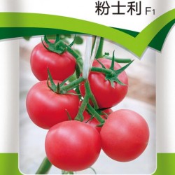 供应粉士利—番茄种子