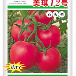 供应--美琪12--番茄种子