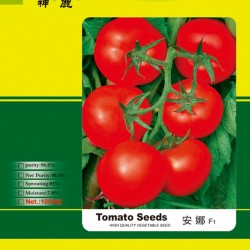 供应安娜——番茄种子