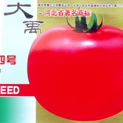 供应中蔬四号-番茄种子