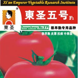 供应东圣五号——番茄种子