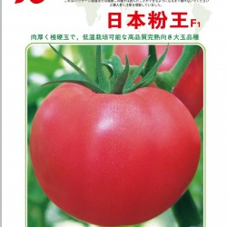 供应日本粉王F1—番茄种子