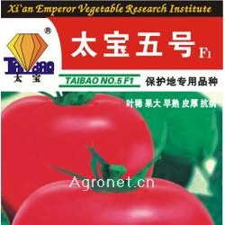 供应太宝五号——番茄种子