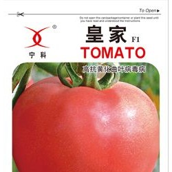 供应皇家—番茄种子