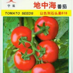 供应番茄种子—地中海