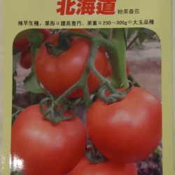 供应北海道粉果番茄种子
