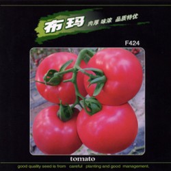 布玛-番茄种子