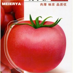 供应美尔雅—番茄种子