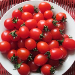 供应粉秀——小番茄种子