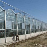 常年承接温室工程大棚建设，玻璃温室工程，蔬菜花卉大棚建设