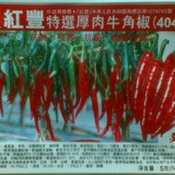 供应红丰404辣椒种子