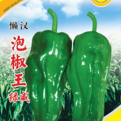 供应泡椒——绿威 （安徽）