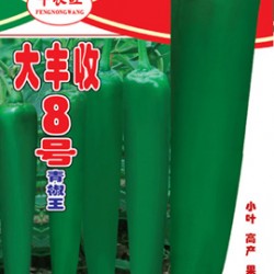 供应大丰收8号青椒王—辣椒种子