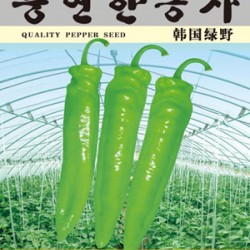 韩国绿野——辣椒种子