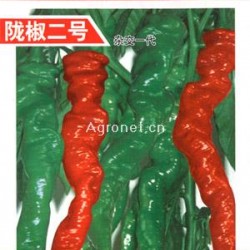 陇椒二号-辣椒种子