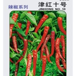 供应津红十号—辣椒种子
