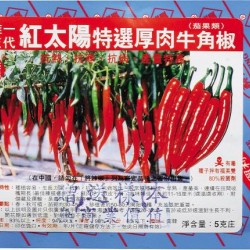 供应红太阳牛角椒—辣椒种子