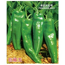 供应丰达尔五号—辣椒种子