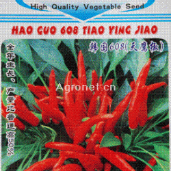 供应韩国608—辣椒种子