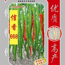 供应信香668—辣椒种子