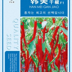 供应韩美干椒-辣椒种子