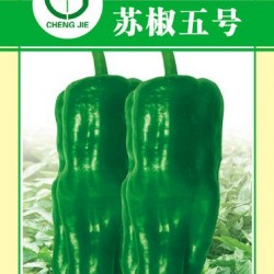 供应苏椒五号—辣椒种子